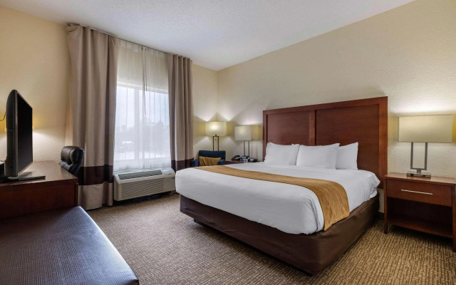 Comfort Inn & Suites Camden