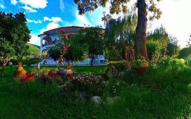 Jenny's House