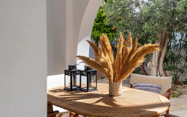 Cycladic Vibes Tinos