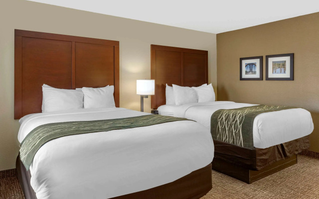 Comfort Inn & Suites Little Rock Airport