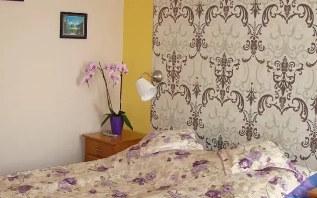 Eko Zajazd u Elki