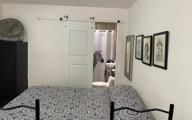 Zebra Studio