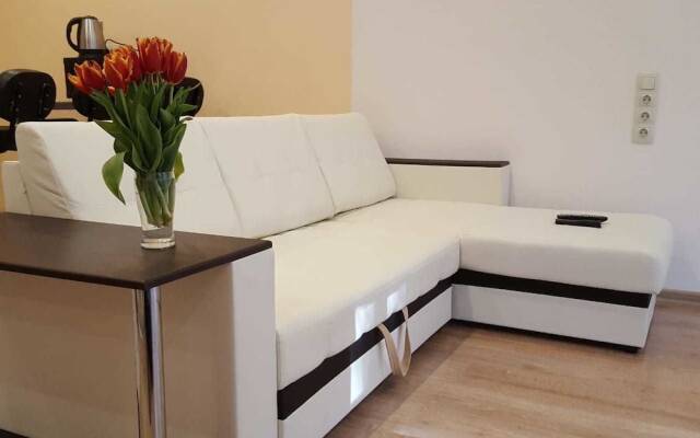 Апартаменты Apartment on Kamo комната для гостей
