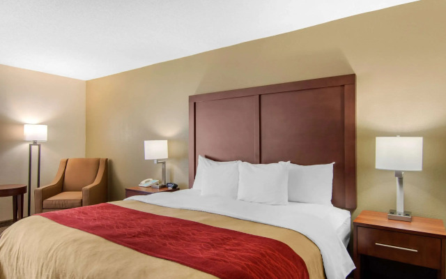 Comfort Inn Chester - Richmond South
