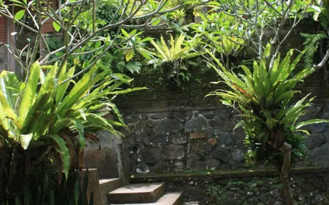 Pager Bungalows