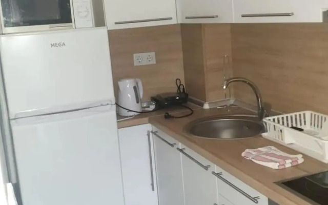 Apartment Viva
