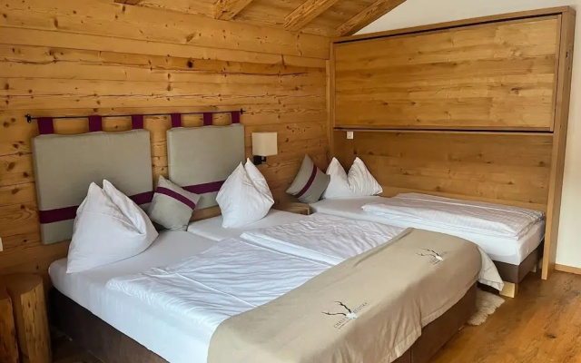 Chalet in Wagrain With Sauna and Swimming Pond