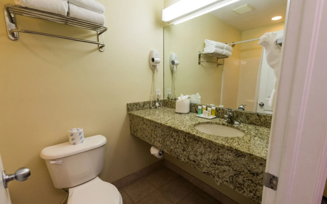 The Sunshine Hotel and Suites