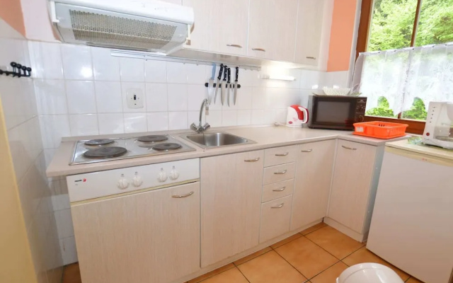 Snug Apartment in Jachymov Near Ski Area