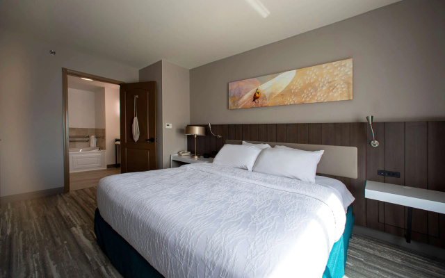 Hilton Garden Inn Rapid City