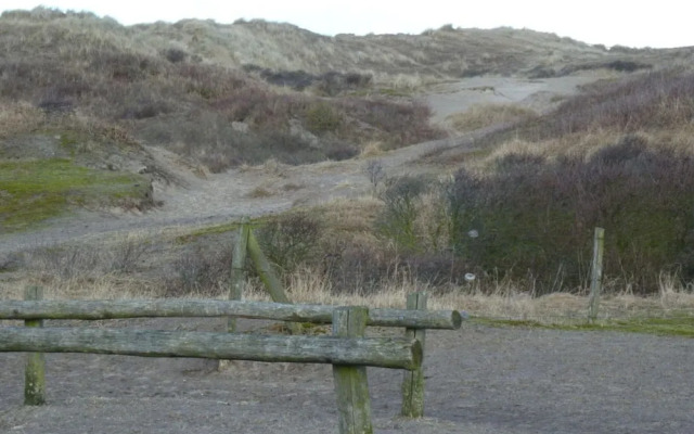 Zwenger - Egmond Aan Zee