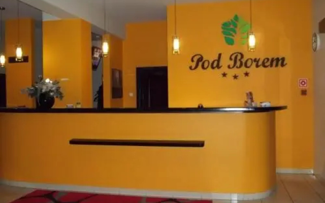 Hotel Pod Borem
