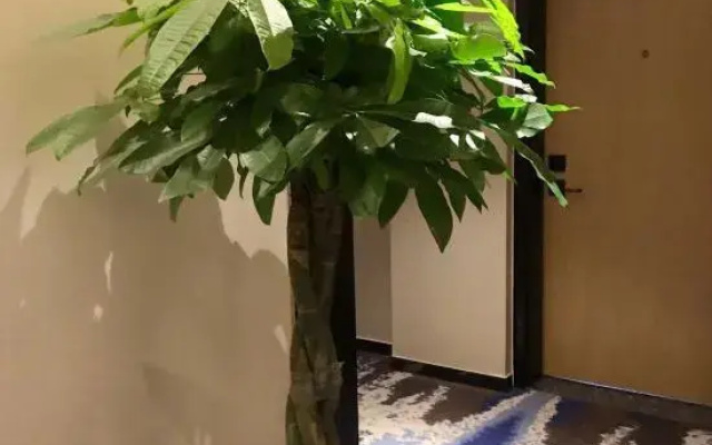 Light Stay Hotel (Jinan Jiyang Bus Terminal Branch)