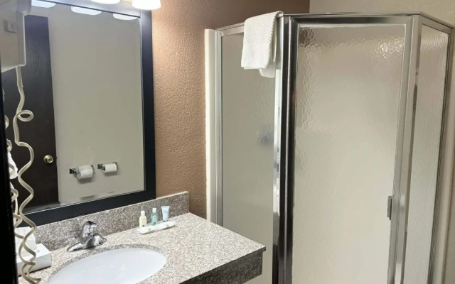 AmericInn by Wyndham Holland MI