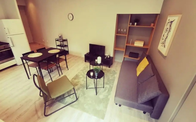 Vienne: appartement au cœur du centre historique