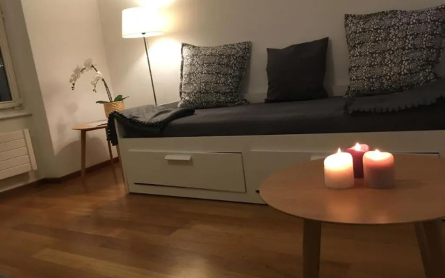 Parking voiture & Appartement 2pcs Lausanne centre