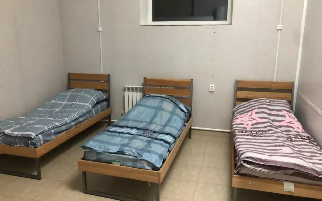 Столица