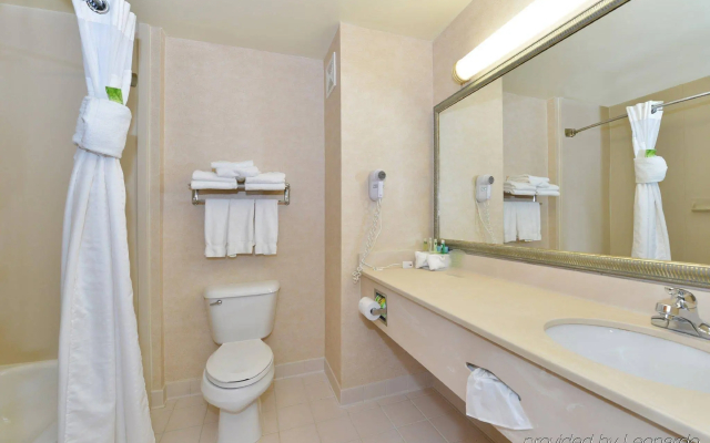 Holiday Inn Express Hotel & Suites Petersburg-Dinwiddie by IHG