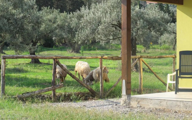 Holiday home Stella di Sicilia