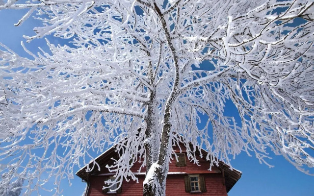 Cozy Holiday Home in Kandergrund With Blümlisalp View