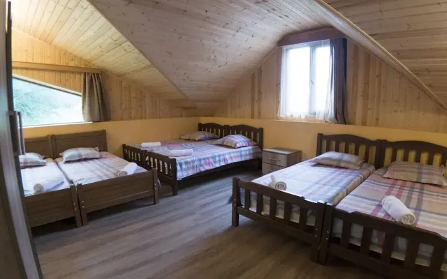 Hotel Eco House In Bakuriani