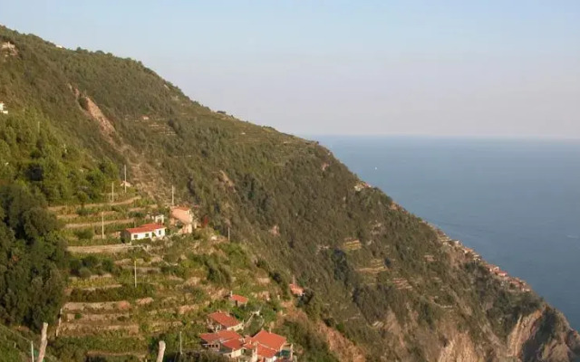 La Volpe e lUva Mare