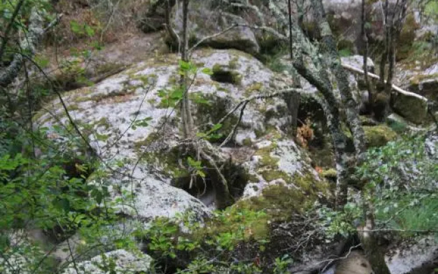 Retiro Da Arminda
