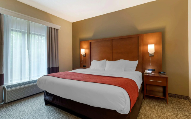 Comfort Suites Kingsport South