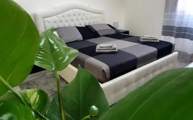 rooms cris
