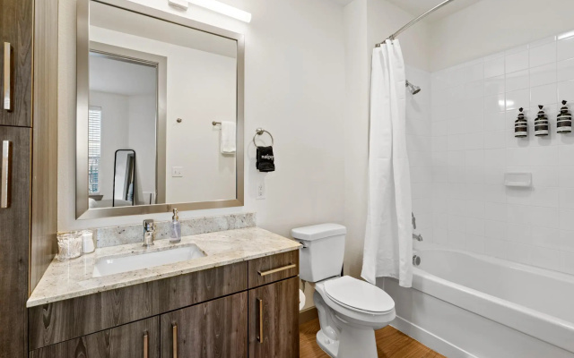 Arlington Delightful 2BD 2BA Apartment