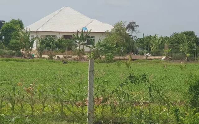 Paje Farm House