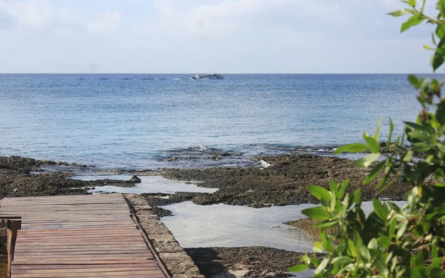 Great Condo in Cozumel OCEAN FRONT D10