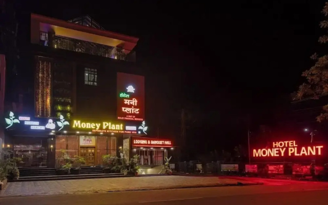 Hotel Money Plant