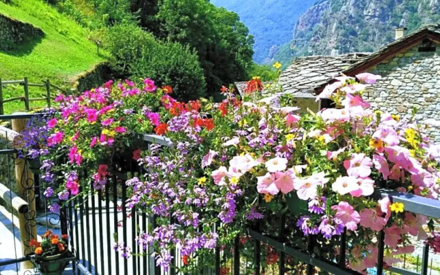 B&B Maison Vallomy