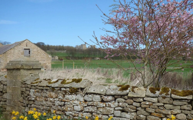 Hope Cottage