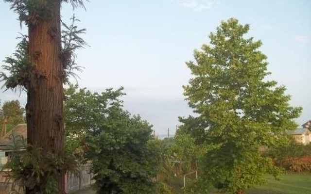 Cottage RUSOMARI Coast BUKNARI