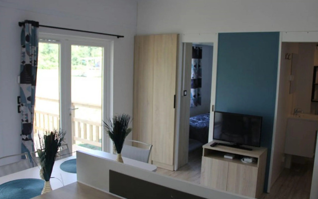 Modern 6-person chalet in Frisian nature