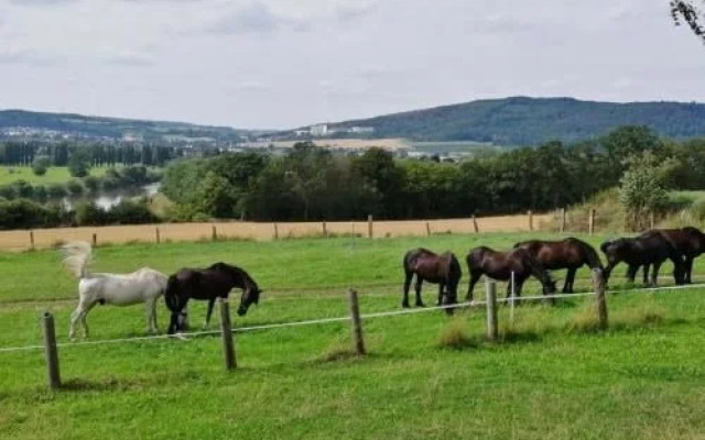 Steinkrug an der Weser