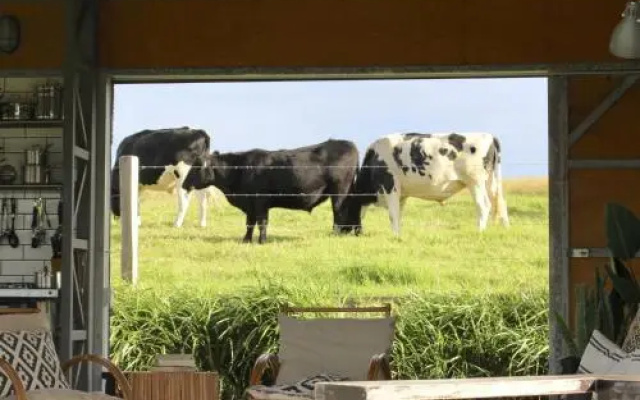 THE SHED Gerroa 4pm checkout on Sundays and Public Holidays