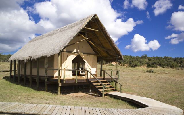 Отель Gorah Elephant Camp Южная Африка, Аддо - отзывы, цены и фото номеров - забронировать отель Gorah Elephant Camp онлайн вид на фасад