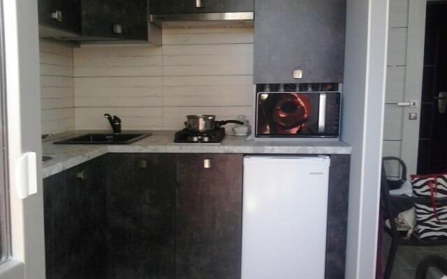 Гостиница Ammeer Appartment в Светлогорске отзывы, цены и фото номеров - забронировать гостиницу Ammeer Appartment онлайн Светлогорск удобства в номере