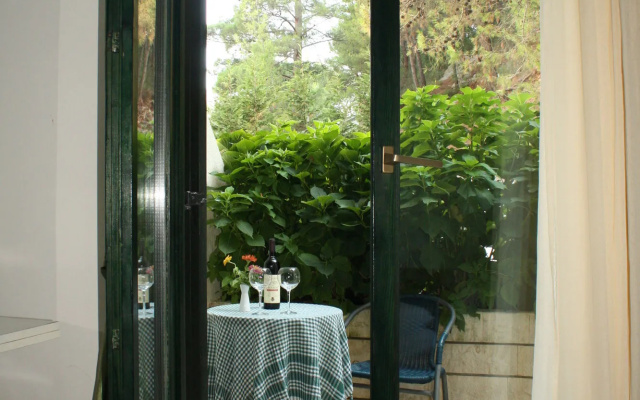 Hotel Danica