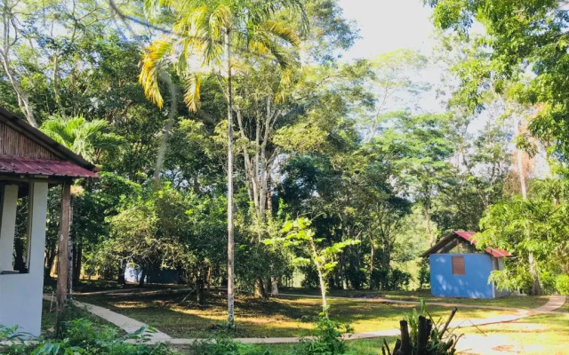 Mango Walk Inn