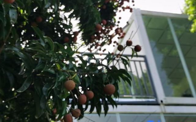 Taishan Yuhaixin homestay