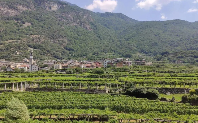 La Casa Dei Nonni 3,0