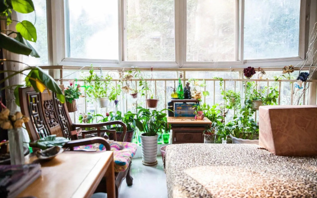 Urban Job Papas Capsule Hostel