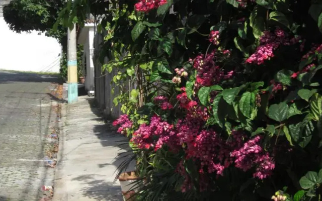 Home in Rio