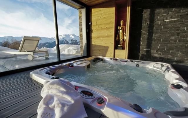 Luxury Chalet in the Very Extensive Paradiski ski Area