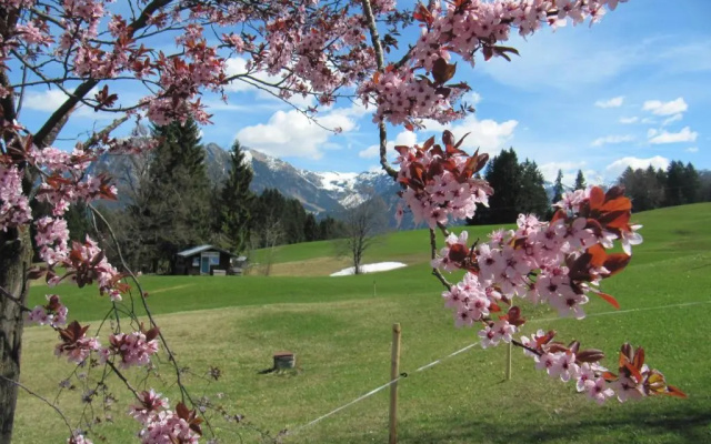 Gasthof Seeweg