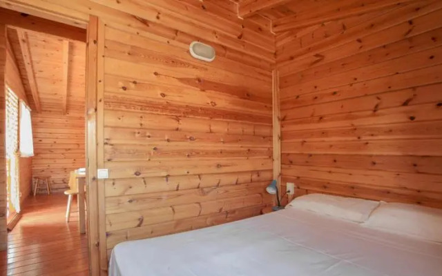 Ecològic Vinyols Camp